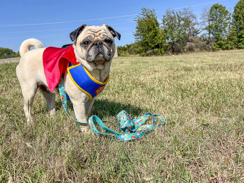 SuperDog Harness | Super Blue & Super Pink