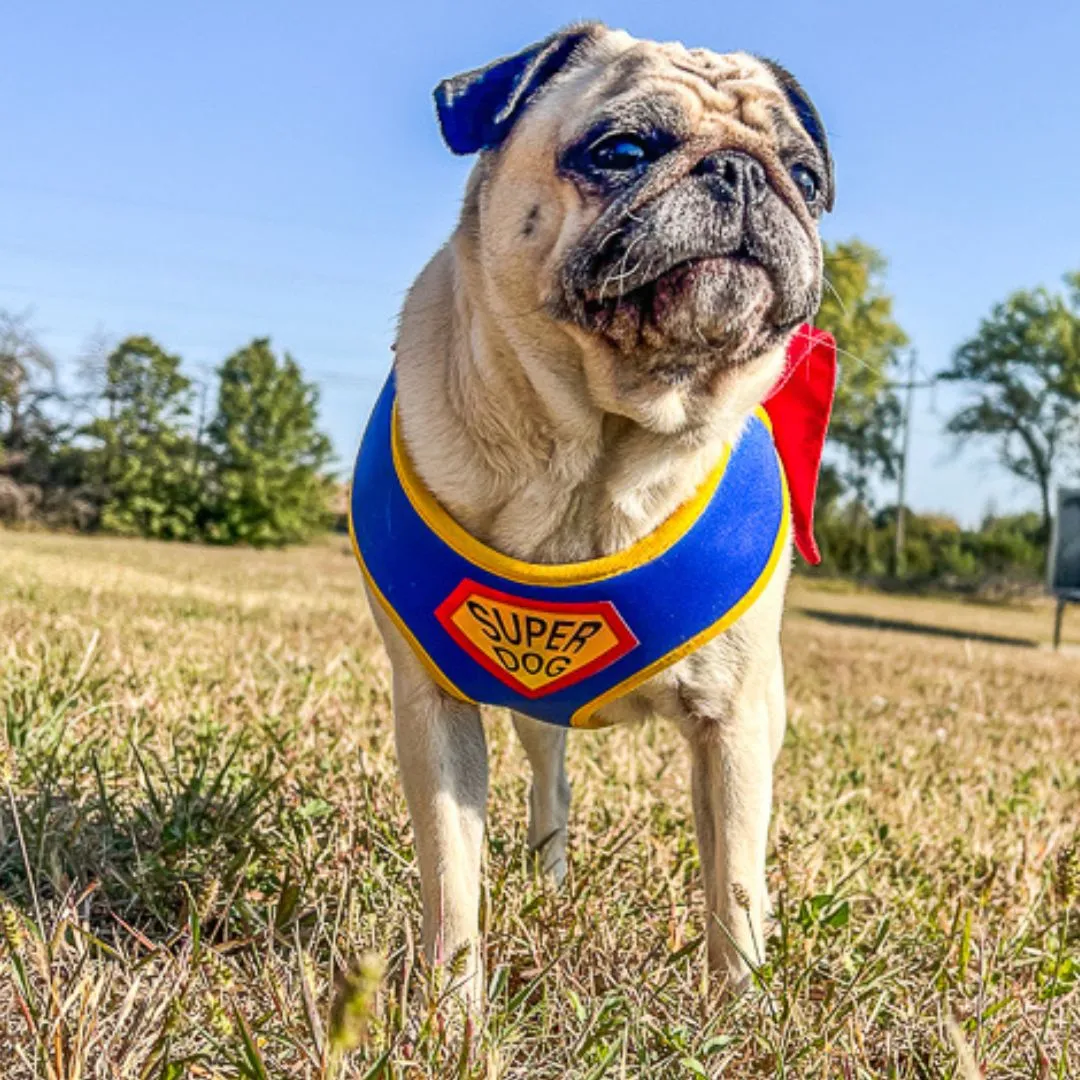 SuperDog Harness | Super Blue & Super Pink