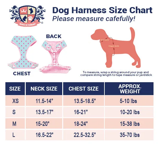 SuperDog Harness | Super Blue & Super Pink