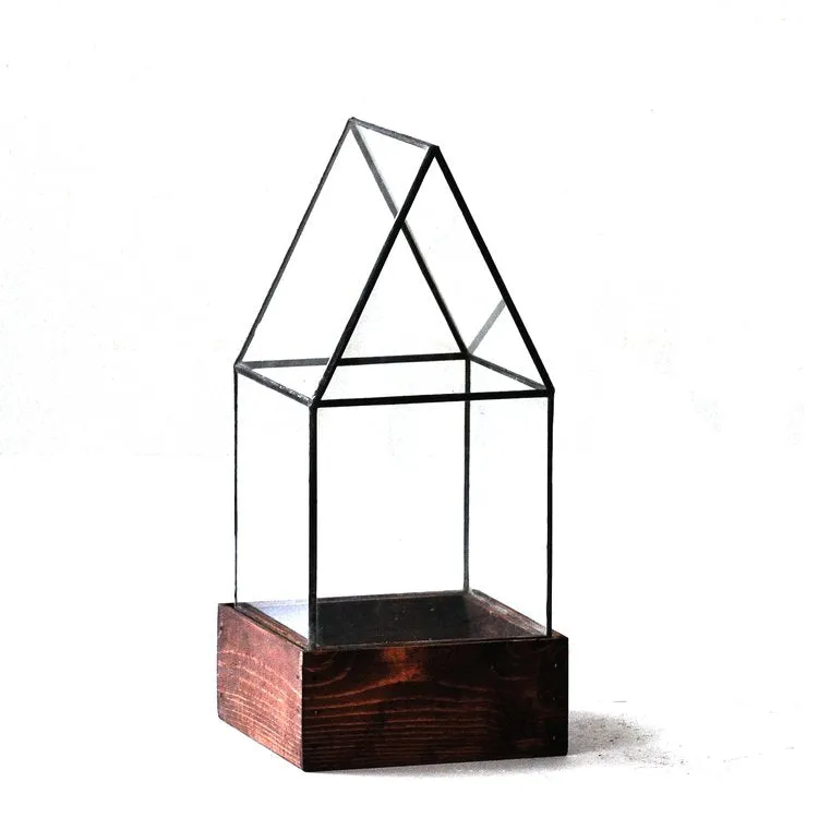 The Cape Cod Terrarium