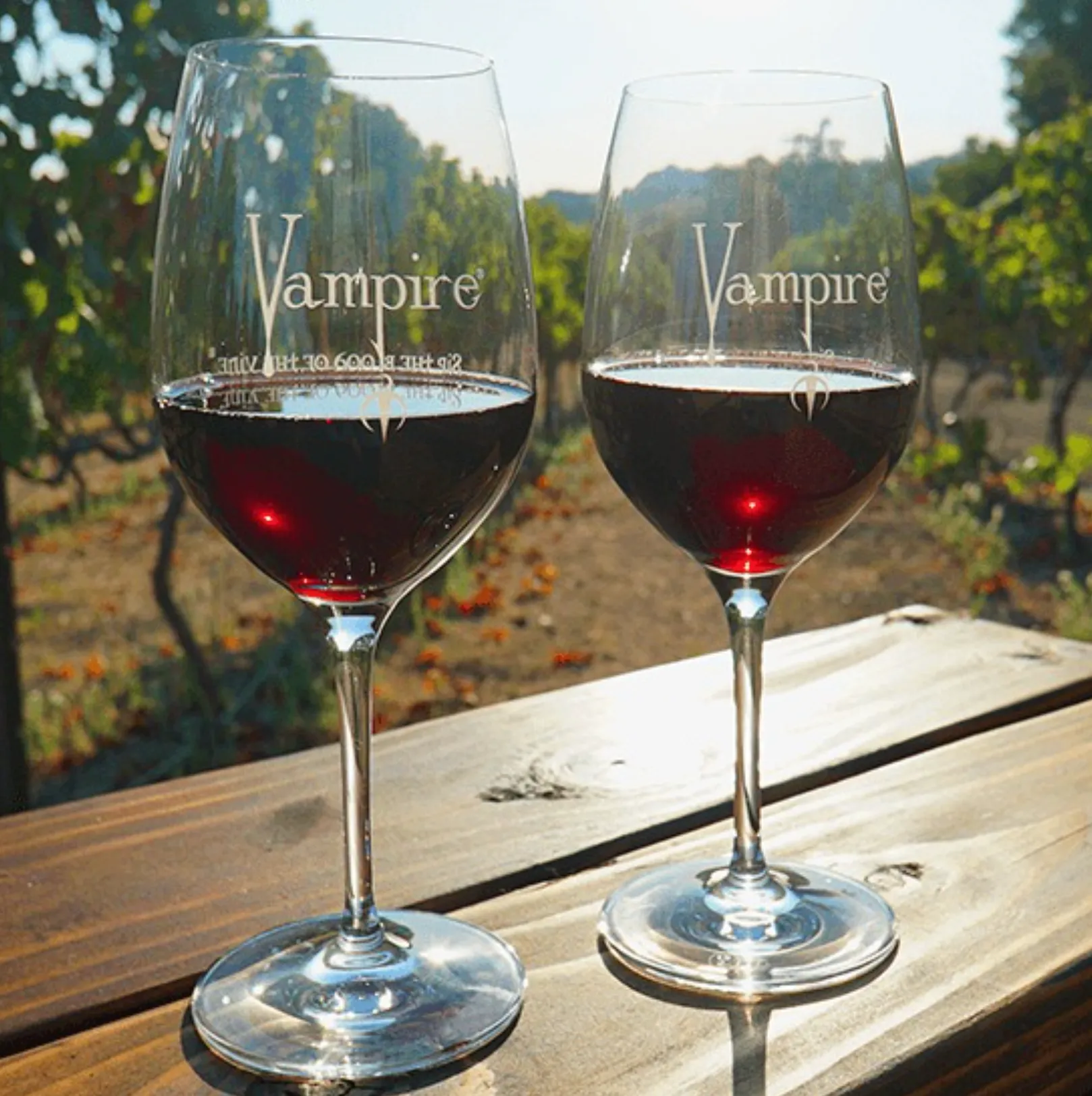 VAMPIRE® CABERNET SAUVIGNON WITH COFFIN & CAPE
